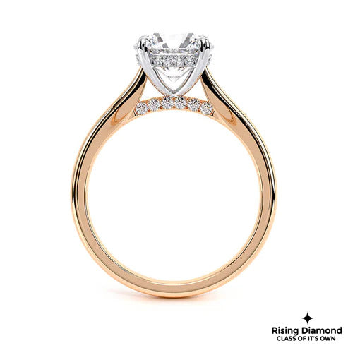 1.00 Ct Round Cut D-VS2 Lab Grown Diamond Cathedral Engagement Ring