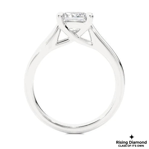 1.0 CT F/VS1 Princess Cut Lab Grown Diamond Engagement Ring