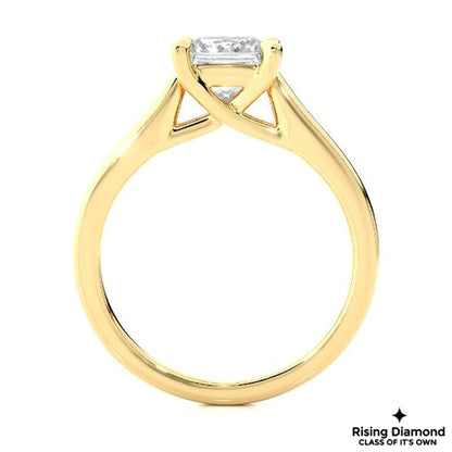 1.0 CT F/VS1 Princess Cut Lab Grown Diamond Engagement Ring