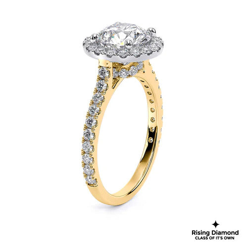 1.01 Ct Round Cut E-VS1 Lab Grown Diamond Halo Cathedral Half Eternity Engagement Ring